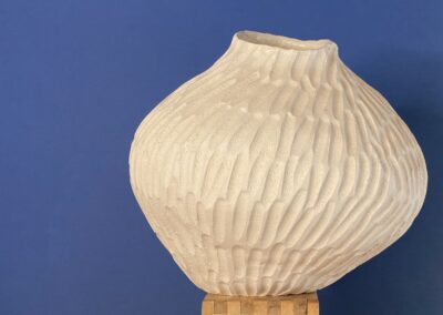 Vaso bianco semi
